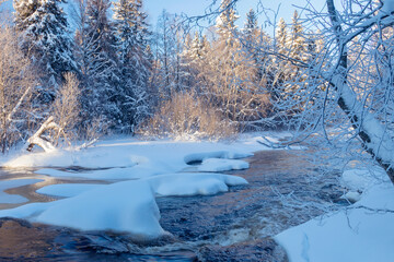 Winter frosty landscape in a forest area on a clear day.