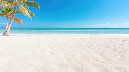 Obraz premium Tropical beach paradise Palm trees, white sand, turquoise ocean, sunny sky; ideal for travel brochures