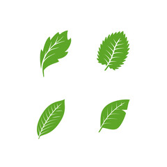 Leaf vector set