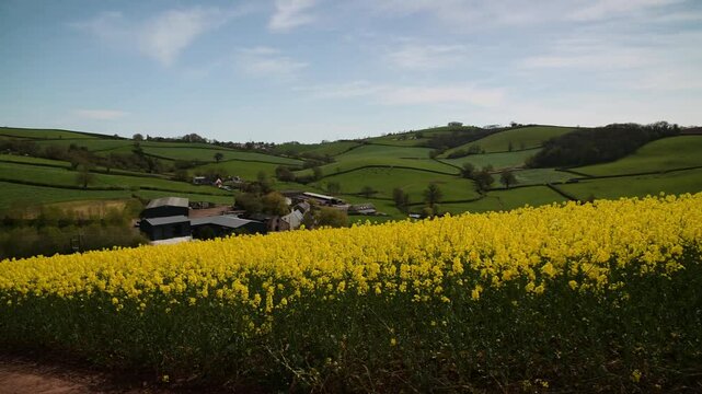 Rapeseed fields and farms from full frame Z6, Devon, England