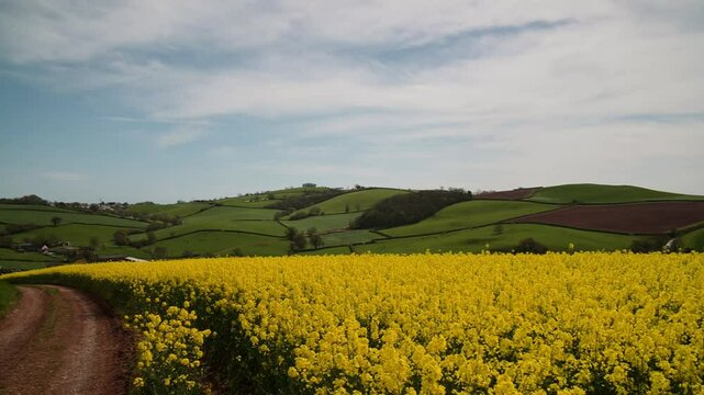 Rapeseed fields and farms from full frame Z6, Devon, England
