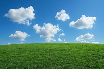 Fototapeta premium Lush Green Field Under a Bright Blue Sky