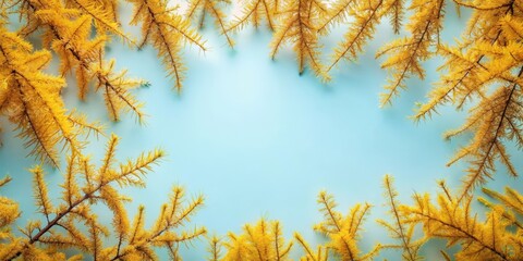 Golden Larch Branches Encircling a Pale Blue Background, Creating a Natural Frame for Design Elements or Text.
