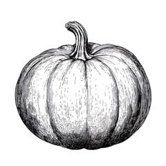 Hand-drawn monochrome pumpkin illustration. (1)