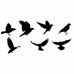 Obraz premium A man is sitting on the ground with his hands on his head. He is wearing a shirt and pants