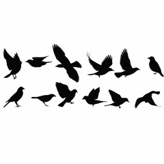 Obraz premium A man is sitting on the ground with his hands on his head. He is wearing a shirt and pants