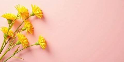 Fototapeta premium Bright Yellow Flowers on a Soft Pink Background A Delicate Floral Arrangement