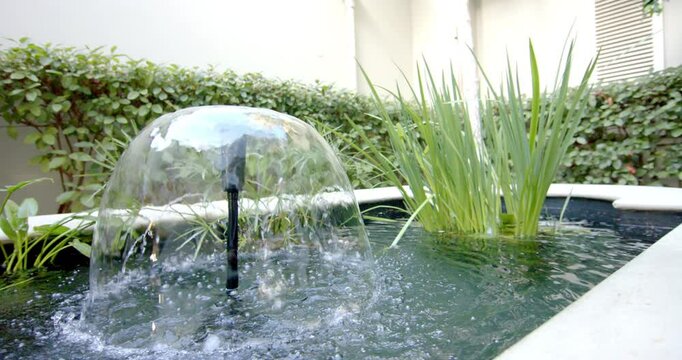 Water bubbling from fountain, surrounded by lush plants