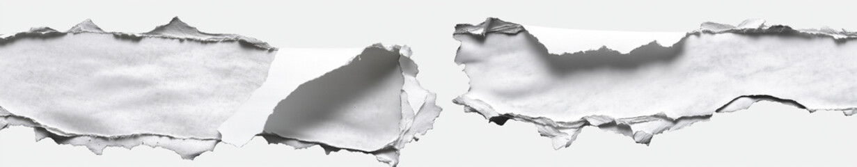 Torn Paper Edge Isolated on White Background - Realistic Textured Ripped Paper