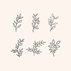 Branches with leaves vector set
