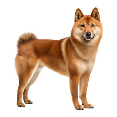 British Timber dog AI Generated Image