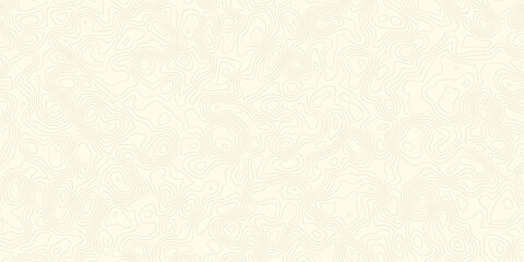 Wavy Line Map Abstract Texture. White wave paper curved reliefs abstract background. The topographic map. 