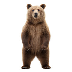 Brown Bear AI Generated Image