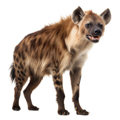 Obraz premium Brown Hyena AI Generated Image