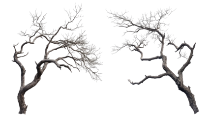Collection of Dead Trees With Branches Isolated Generative AI