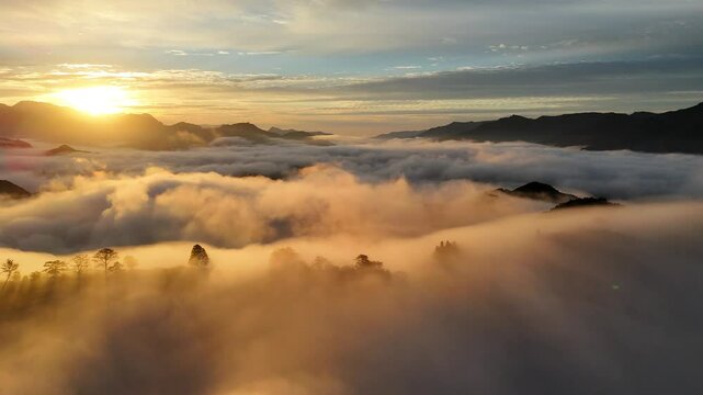 国見ヶ丘の雲海