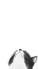 Minimalist Cat Face Looking Upward in Black and White