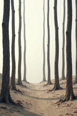 A misty path winds through a desolate, sandy landscape, flanked by tall, slender trees standing sentinel in the ethereal dawn