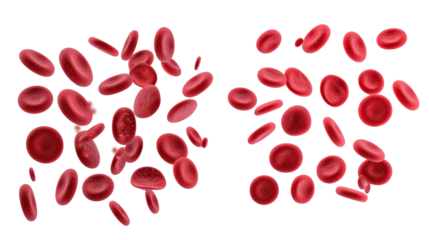 Red Blood Cells on Transparent Background Generative AI