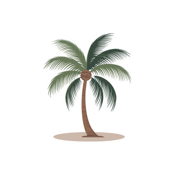 palm tree brown trunk green leaves clip art preview