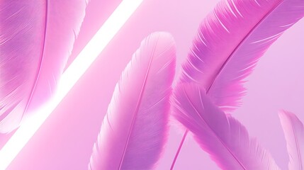 Pink Feathers Against A Light Pink Background