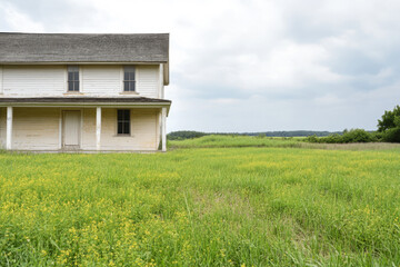 Historic farmhouse surrounded by wildflowers in a serene rural landscape during daytime
