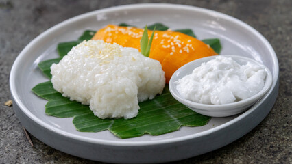 Traditional Mango Sticky Rice Dessert with Coconut Milk Topping on White Plate