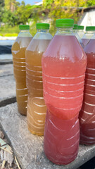 Photosynthetic Bacteria, a fermented liquid containing water, eggs, shrimp paste, MSG and fish sauce. It is popularly used in agriculture in Thailand. Photosynthetic Bacteria, red liquid in a plastic.