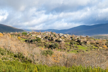 Rockrose fields in the area of the black villages of Guadalajara, Spain