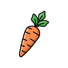  Fresh Carrot with Green Leaves