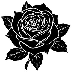 Graceful Rose Silhouette on White