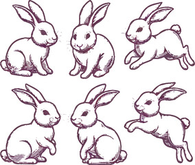Obraz premium Minimal Bunny Line Art: Cute Rabbit Sketch Vector in Various Poses