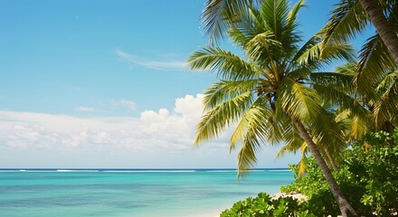 Idyllic Caribbean Beach with Swaying Palm Trees and Clear Blue Sky: Perfect Tropical Getaway Scene
