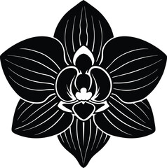 Elegant Black Orchid Flower Botanical Line Art Graphic Design