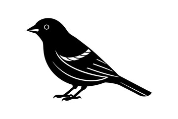 Fototapeta premium A minimalist beautiful linocut Grosbeak bird silhouette black vector artwork illustration. 