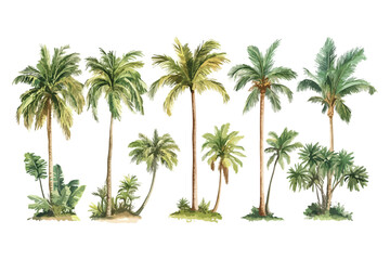 palm trees isolated on white background t shirt bundle vector design