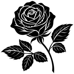 Graceful Rose Silhouette on White