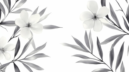 Monochrome floral design; elegant white flowers and grey leaves;  white background; for website header or print