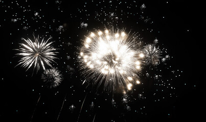 At night, brilliant fireworks bloom in the sky