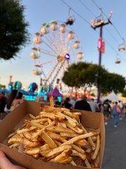 Orange County Fair French Fries