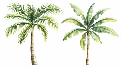 Obraz premium Tropical palm trees watercolor illustration, isolated on white background, perfect for summer travel brochures