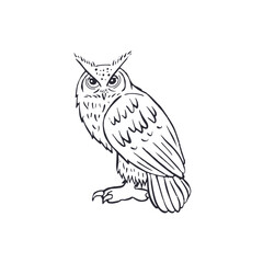 Hand drawn black and white line art eagle-owl standing isolated on white background. Monochrome nocturnal bird vector illustration.