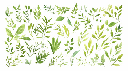 Obraz premium Watercolor Green Leaves Collection for Design