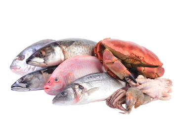 Fresh seafood isolated isolated