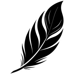 Obraz premium A feather silhouette vector illustration