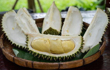 Close up of an opened durians arranging on wooden tray. Durian is a delicious tropical fruit native...