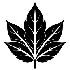 Leaf blade silhouette vector illustration