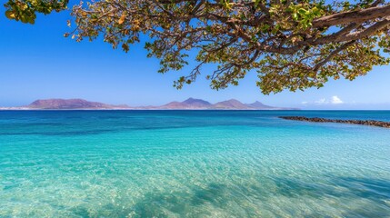 Tranquil tropical beach scene