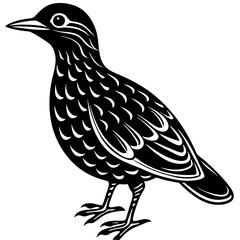 Minimalist Oilbird on White Background