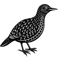 Minimalist Oilbird on White Background